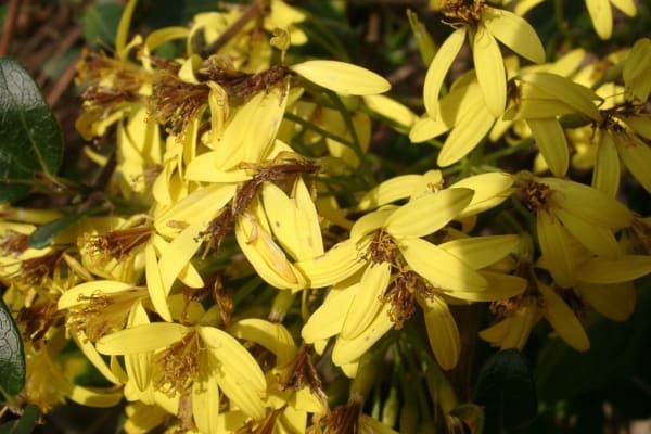 Foto 120 da atividade Galeria de Fotos