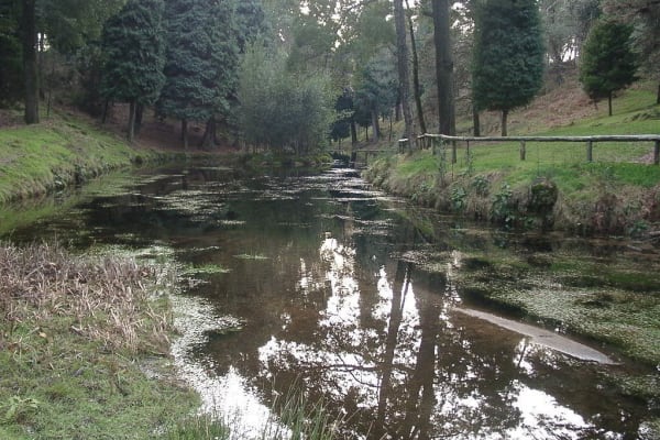 Foto 102 da atividade Galeria de Fotos