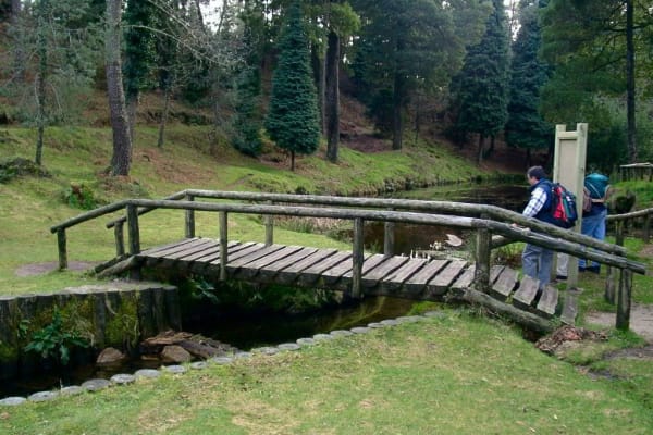 Foto 78 da atividade Galeria de Fotos