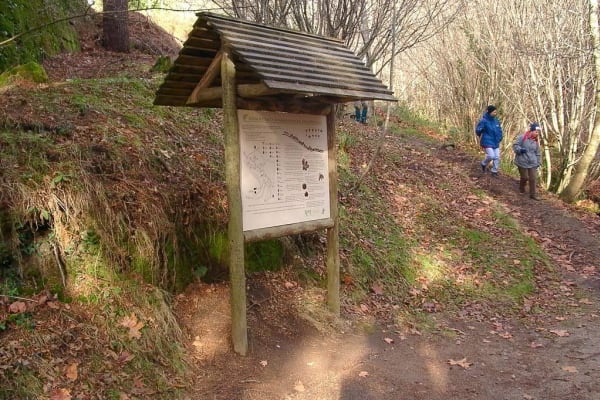 Foto 19 da atividade Galeria de Fotos