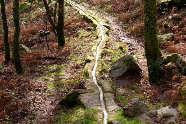 Foto 14 da atividade Galeria de Fotos