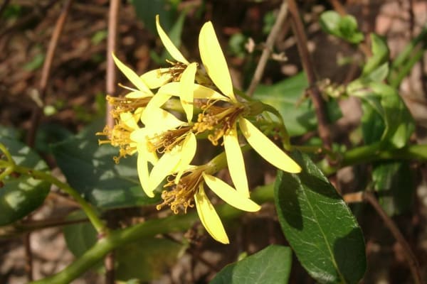 Foto 11 da atividade Galeria de Fotos