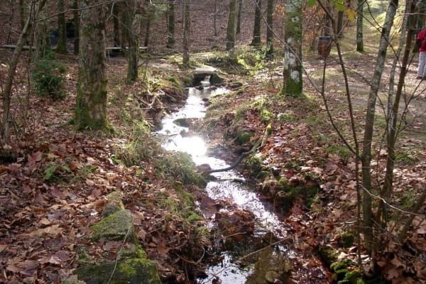 Foto 10 da atividade Galeria de Fotos