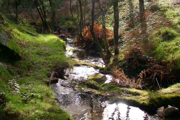 Foto 9 da atividade Galeria de Fotos