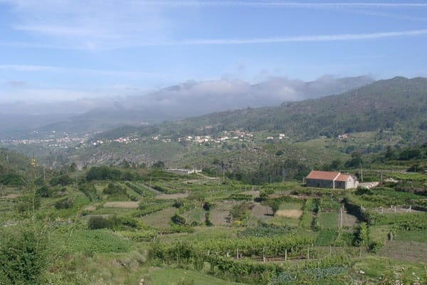 Foto 92 da atividade Galeria de Fotos