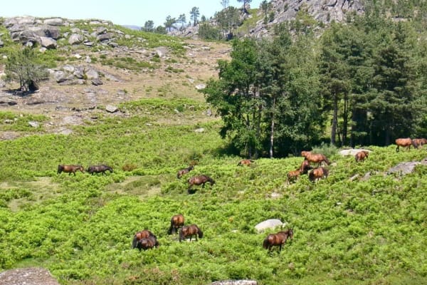 Foto 82 da atividade Galeria de Fotos