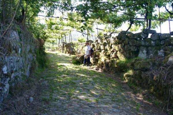 Foto 76 da atividade Galeria de Fotos