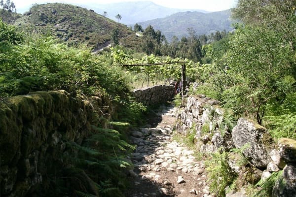 Foto 67 da atividade Galeria de Fotos