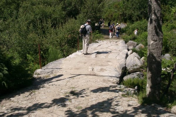 Foto 66 da atividade Galeria de Fotos