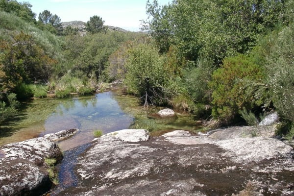 Foto 50 da atividade Galeria de Fotos