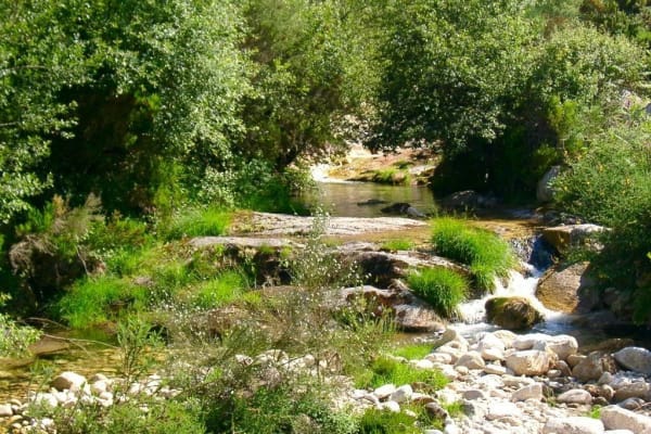 Foto 46 da atividade Galeria de Fotos