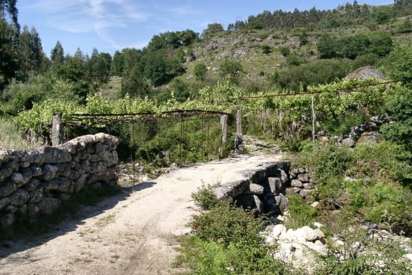 Foto 39 da atividade Galeria de Fotos