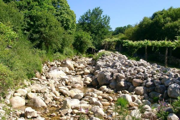 Foto 25 da atividade Galeria de Fotos