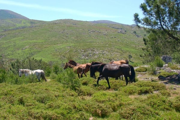 Foto 20 da atividade Galeria de Fotos