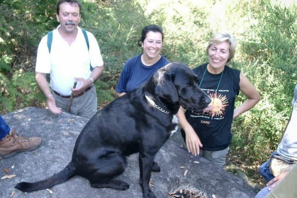 Foto 7 da atividade Galeria de Fotos