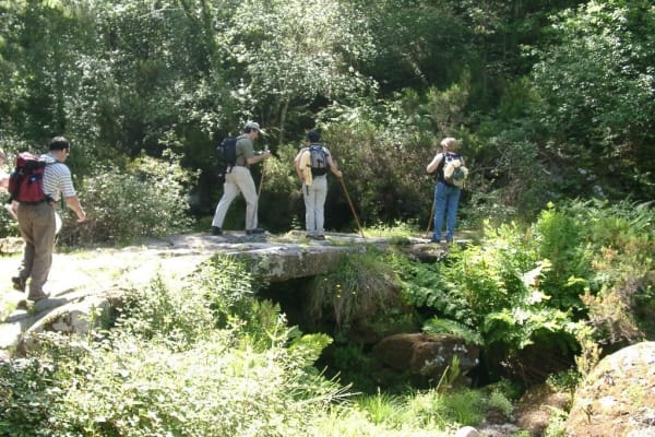 Foto 8 da atividade Galeria de Fotos