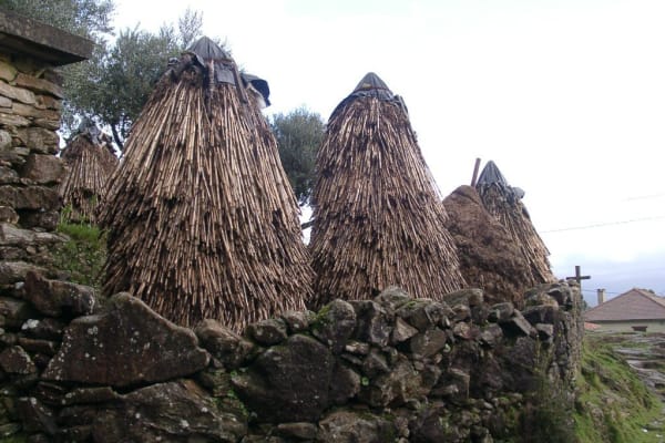 Foto 74 da atividade Galeria de Fotos