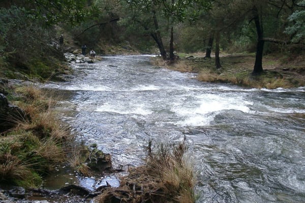 Foto 55 da atividade Galeria de Fotos