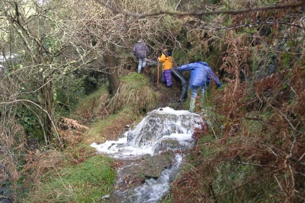 Foto 50 da atividade Galeria de Fotos