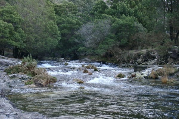 Foto 36 da atividade Galeria de Fotos