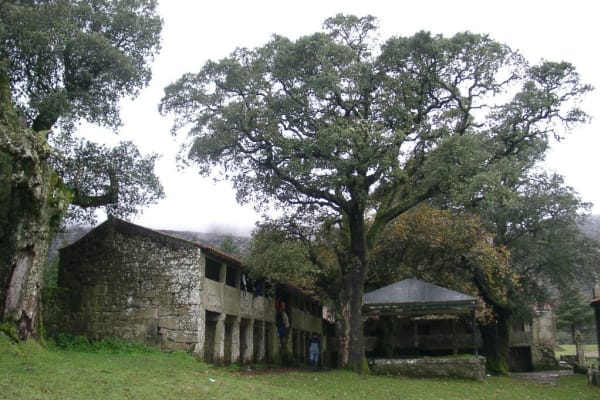 Foto 33 da atividade Galeria de Fotos