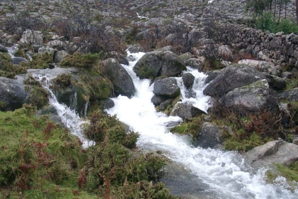 Foto 22 da atividade Galeria de Fotos