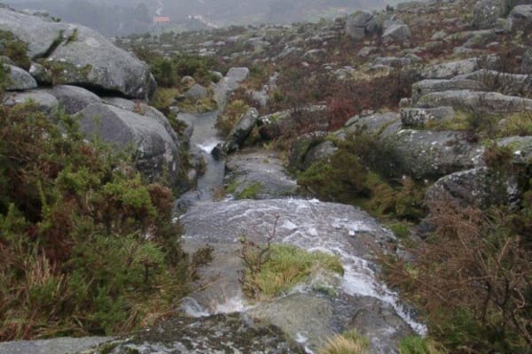 Foto 9 da atividade Galeria de Fotos