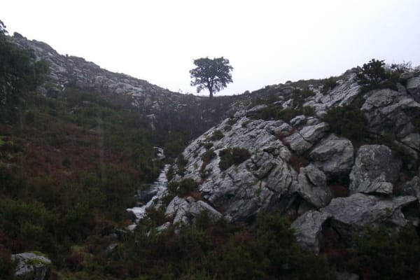 Foto 1 da atividade Galeria de Fotos