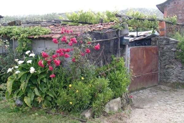 Foto 98 da atividade Galeria de Fotos