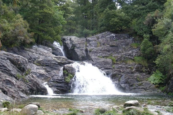 Foto 96 da atividade Galeria de Fotos