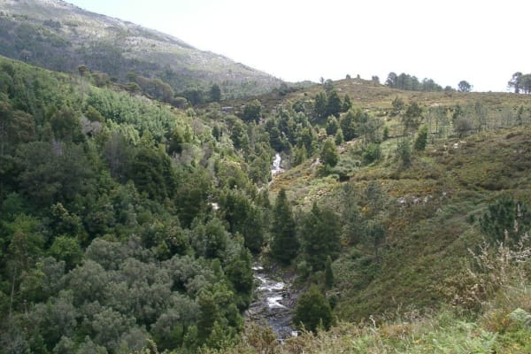 Foto 93 da atividade Galeria de Fotos