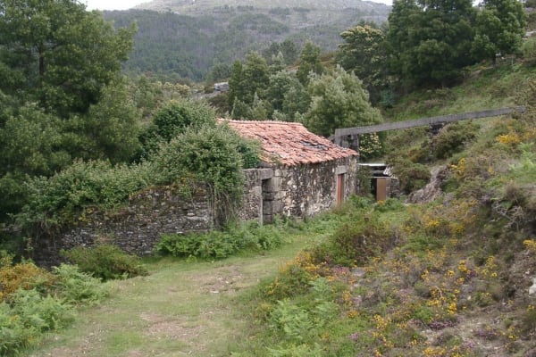 Foto 92 da atividade Galeria de Fotos