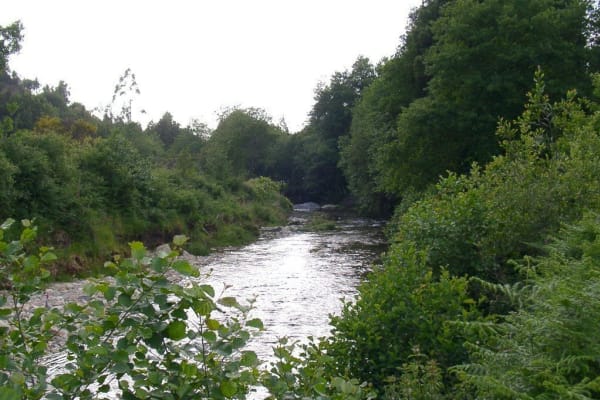 Foto 76 da atividade Galeria de Fotos