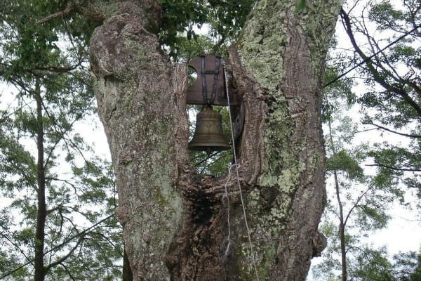 Foto 64 da atividade Galeria de Fotos