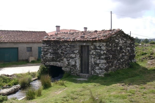 Foto 46 da atividade Galeria de Fotos