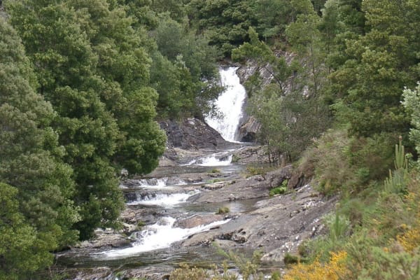 Foto 44 da atividade Galeria de Fotos