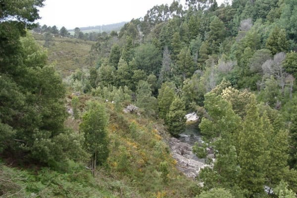 Foto 41 da atividade Galeria de Fotos