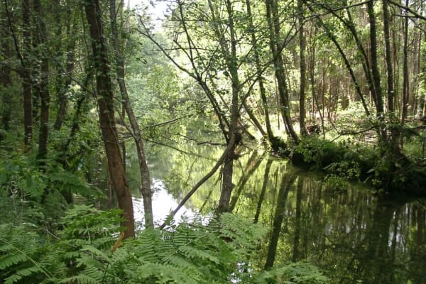 Foto 30 da atividade Galeria de Fotos