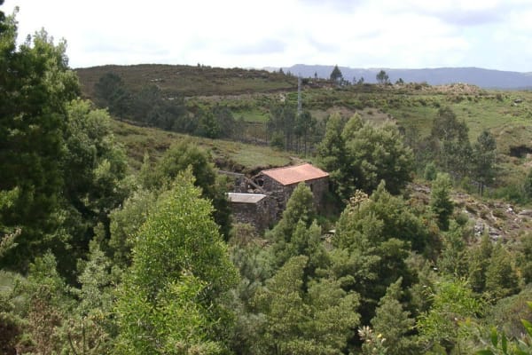 Foto 28 da atividade Galeria de Fotos