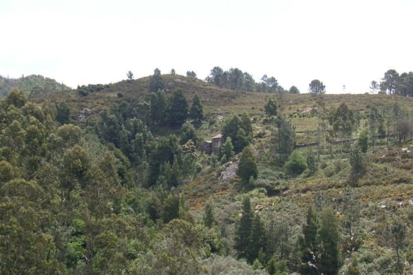 Foto 20 da atividade Galeria de Fotos