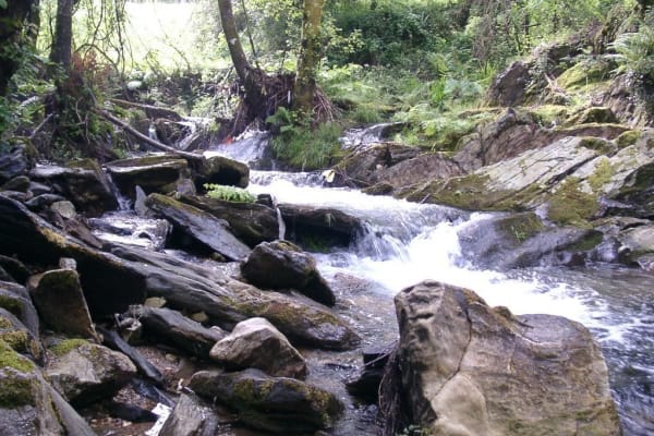 Foto 11 da atividade Galeria de Fotos