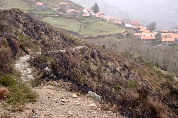 Foto 79 da atividade Galeria de Fotos