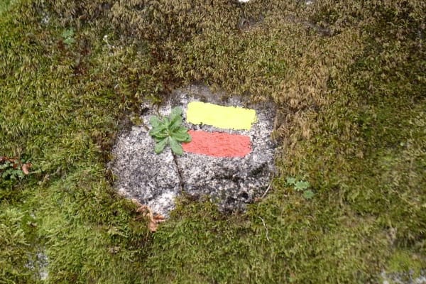 Foto 68 da atividade Galeria de Fotos