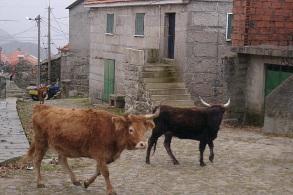 Foto 61 da atividade Galeria de Fotos