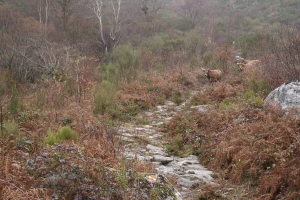 Foto 9 da atividade Galeria de Fotos