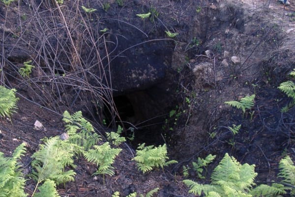 Foto 40 da atividade Galeria de Fotos