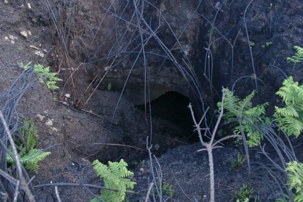 Foto 27 da atividade Galeria de Fotos