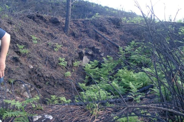 Foto 20 da atividade Galeria de Fotos