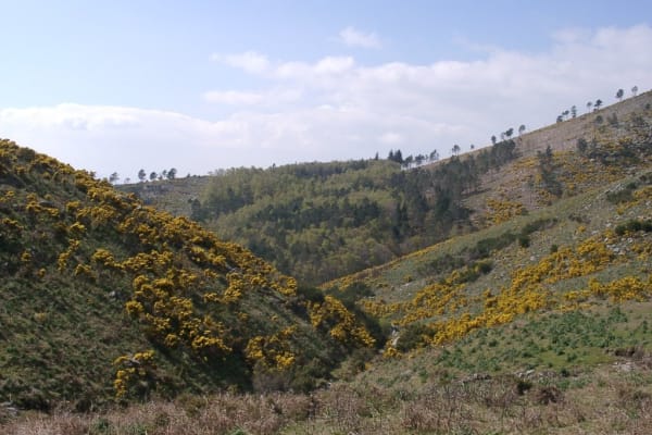 Foto 103 da atividade Galeria de Fotos