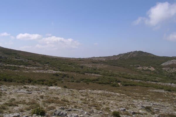 Foto 60 da atividade Galeria de Fotos